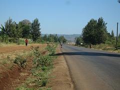 IMG_0029.jpg