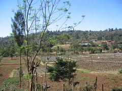 IMG_0033.jpg