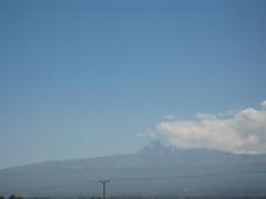 IMG_0038.jpg