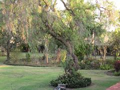 IMG_0070.jpg