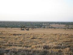 IMG_0074.jpg