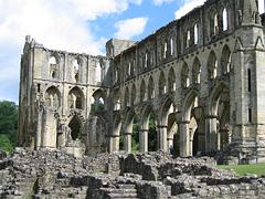 IMG_0221.jpg