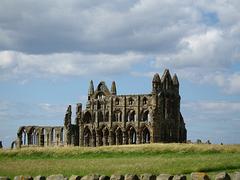 IMG_0232.jpg