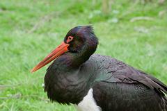 IMG_4428.jpg