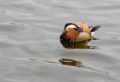 IMG_4456.jpg