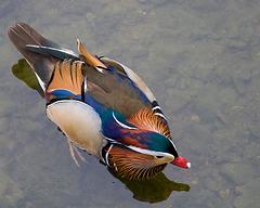 IMG_4473.jpg