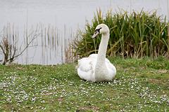 IMG_4563.jpg