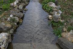 IMG_4587.jpg