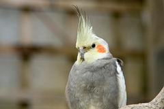 IMG_4619.jpg