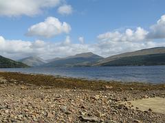 IMG_0012.jpg