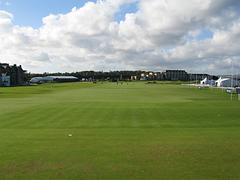 IMG_0330.jpg