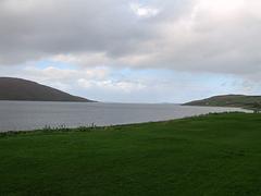 IMG_0332.jpg