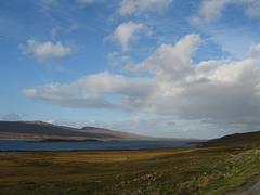 IMG_0336.jpg