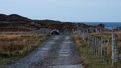 IMG_3682.jpg