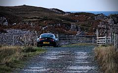 IMG_3684.jpg