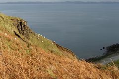 IMG_3719.jpg
