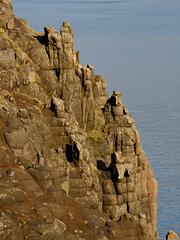 IMG_3727.jpg