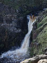 IMG_3739.jpg