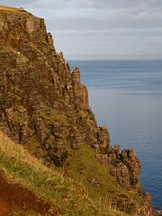 IMG_3741.jpg