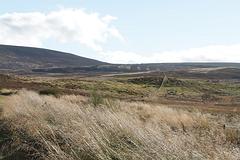 IMG_3758.jpg