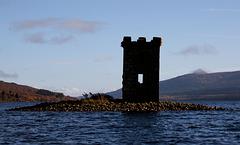 IMG_3798.jpg