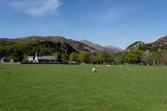 IMG_0145.jpg