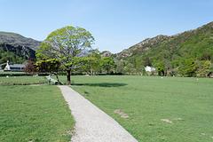 IMG_0161.jpg