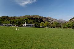 IMG_0177.jpg
