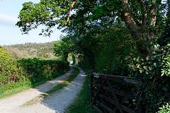 IMG_0224.jpg