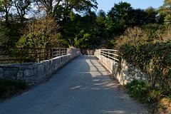 IMG_0227.jpg