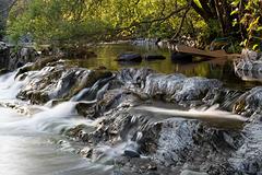 IMG_0231.jpg