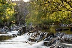 IMG_0232.jpg