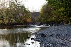IMG_0234.jpg