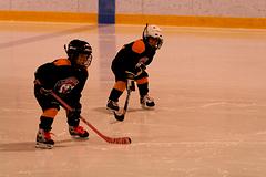IMG_4066.jpg