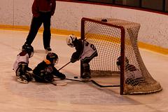 IMG_4080.jpg