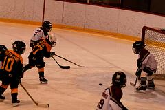 IMG_4090.jpg