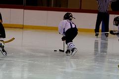 IMG_4110.jpg