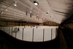 IMG_4140.jpg