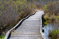 IMG_8029_DxO_raw.jpg