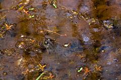 IMG_8062_DxO_raw.jpg