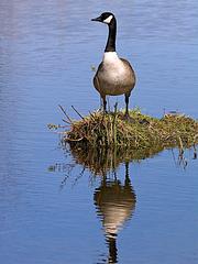 IMG_8096_DxO_raw.jpg