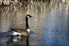 IMG_8104_DxO_raw.jpg