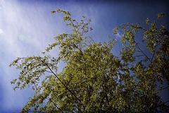 IMG_8124_DxO_raw.jpg