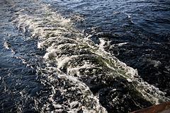 IMG_5768_DxO_raw_mrd.jpg