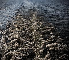 IMG_5771_DxO_raw_mrd.jpg