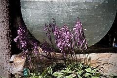 IMG_5860_DxO_raw_mrd.jpg