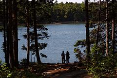 IMG_5872_DxO_raw_mrd.jpg