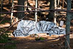 IMG_5902_DxO_raw_mrd.jpg