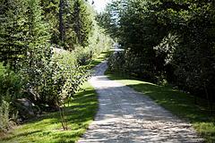 IMG_5928_DxO_raw_mrd.jpg