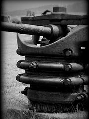 IMG_5946_DxO_raw_mrd.jpg